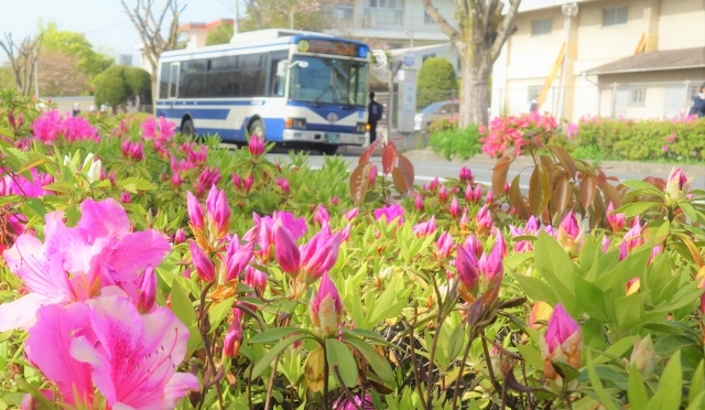 市川市営市川市霊園